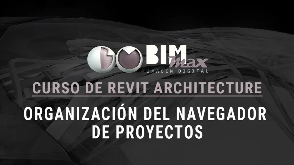 Navegador de proyectos en Revit - Organización personalizada